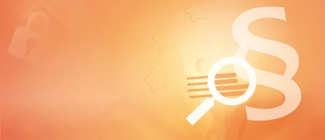 Icon Lupe mit Paragraph vor orangem Hintergrund